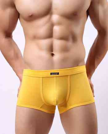 Cockcon Trunk - Front