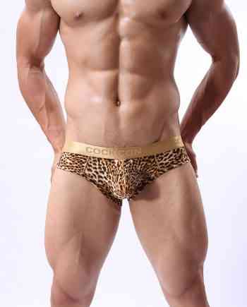 Leopard Print Brief