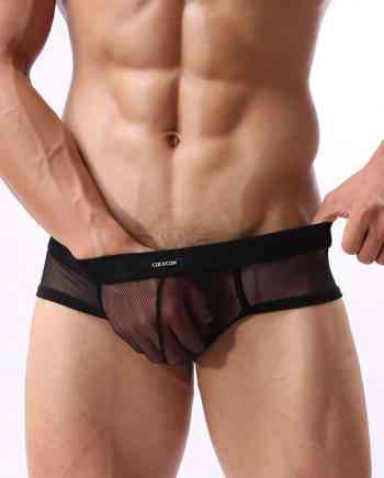 Mesh See-Through Brief Black