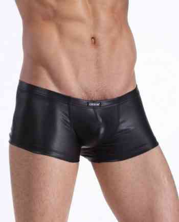 Black Leather Trunk