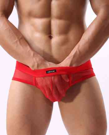Mesh See-Through Brief Red