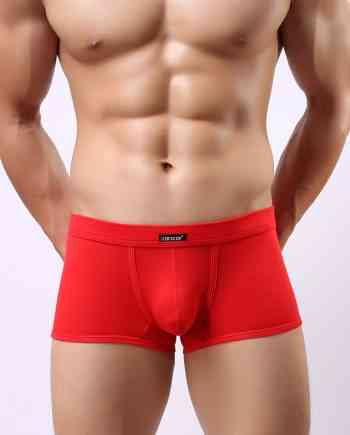 Cockcon Trunk - Front