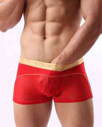 Sheer Mesh See-Through Trunk