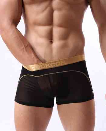Sheer Mesh See-Through Trunk
