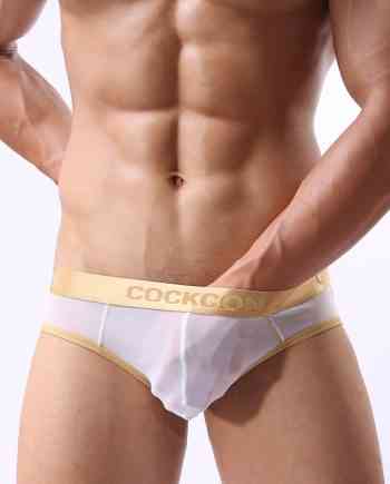 Sheer Mesh See-through Brief