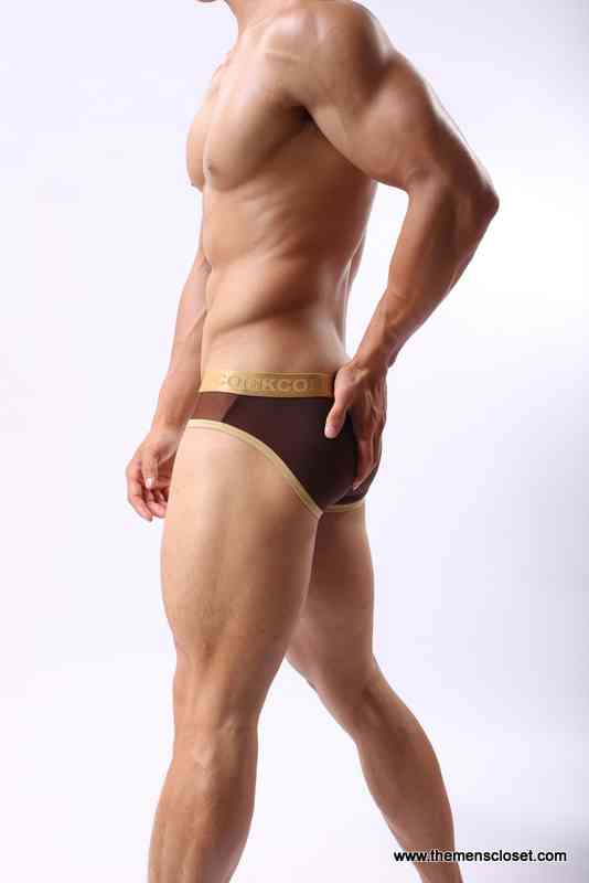 seethrough brief (2)