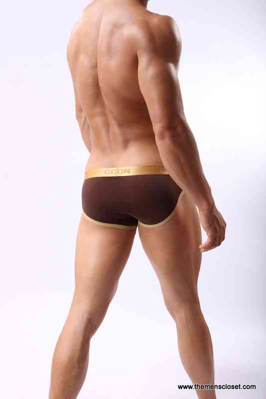 seethrough brief (3)