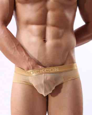 Placeholder Sheer Mesh See-Through Brief