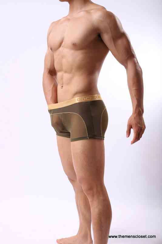seethrough trunk (10)