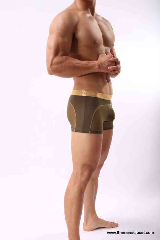 seethrough trunk (13)
