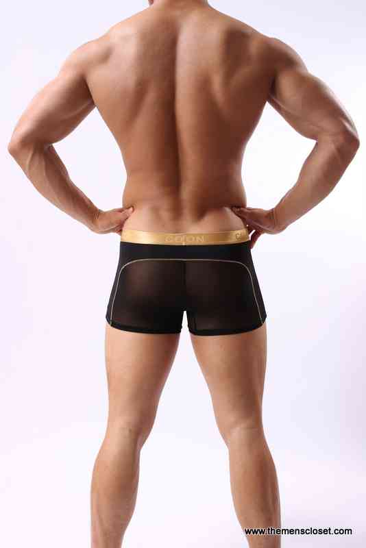 seethrough trunk (30)