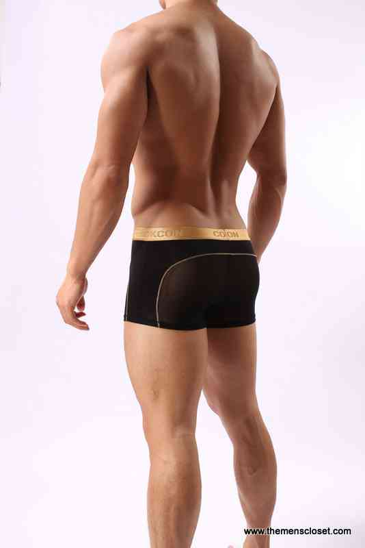 seethrough trunk (31)