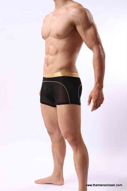 seethrough trunk (32)