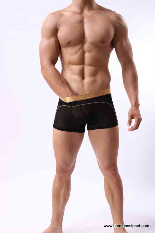 seethrough trunk (33)