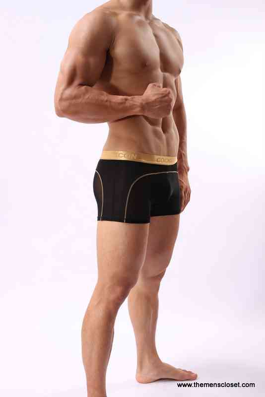 seethrough trunk (35)