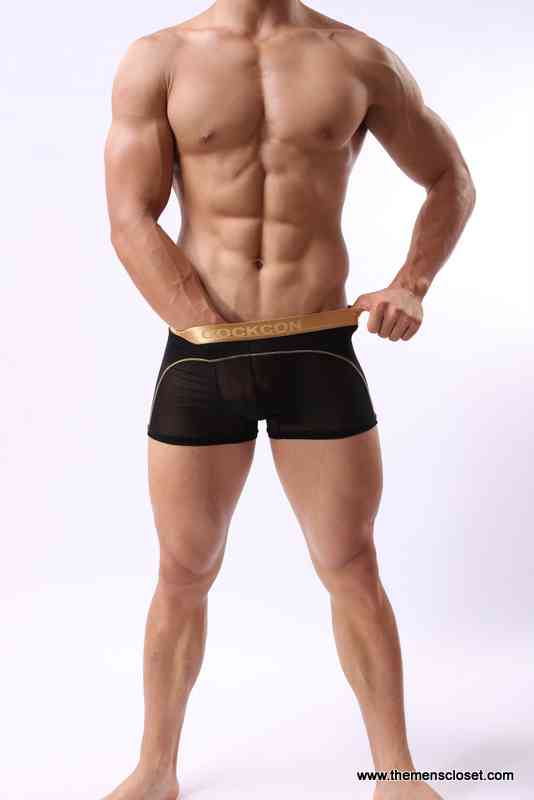 seethrough trunk (36)