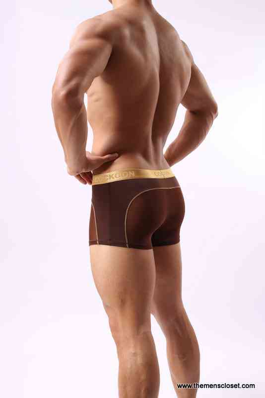 seethrough trunk (38)