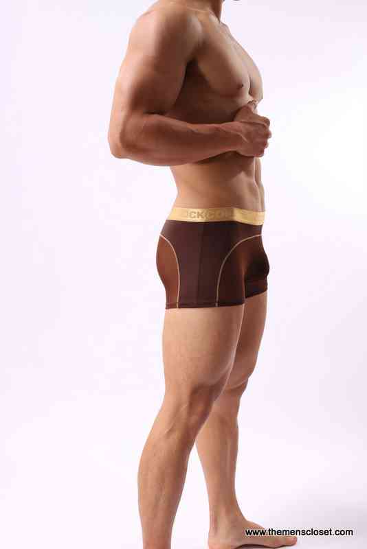 seethrough trunk (39)