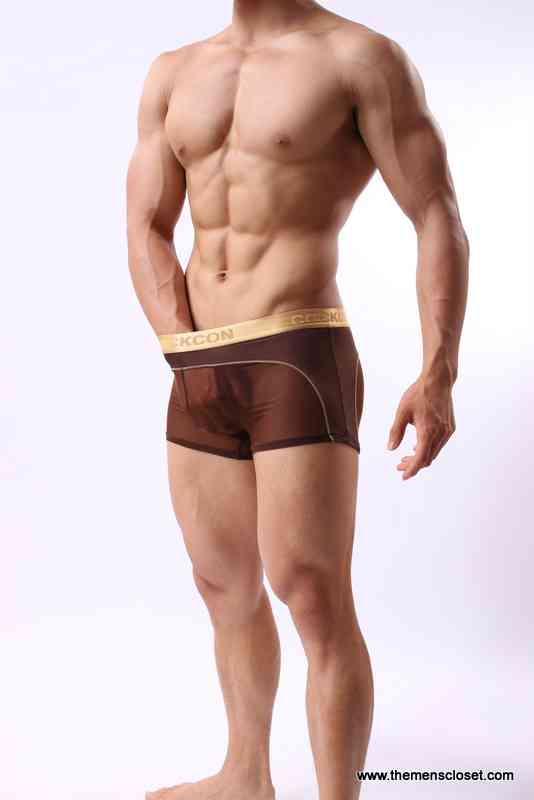 seethrough trunk (40)