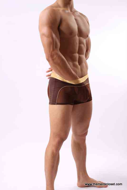 seethrough trunk (43)
