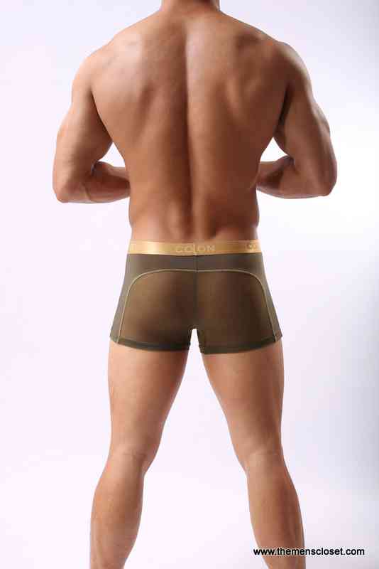 seethrough trunk (8)