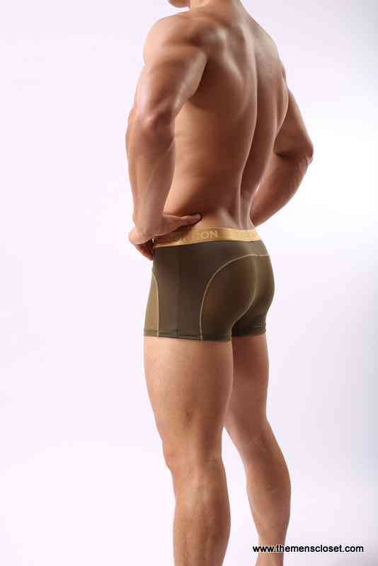 seethrough trunk (9)